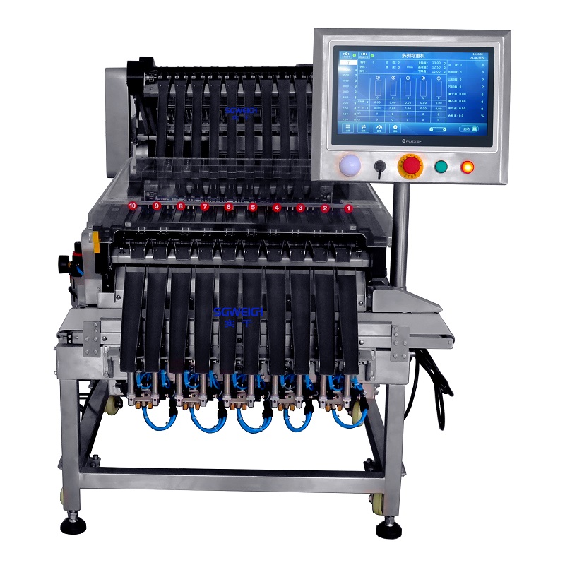 Customized 10 lane Checkweigher